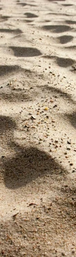 Textured sand surface illustrating natural landforms, soil processes and ecosystem restoration.