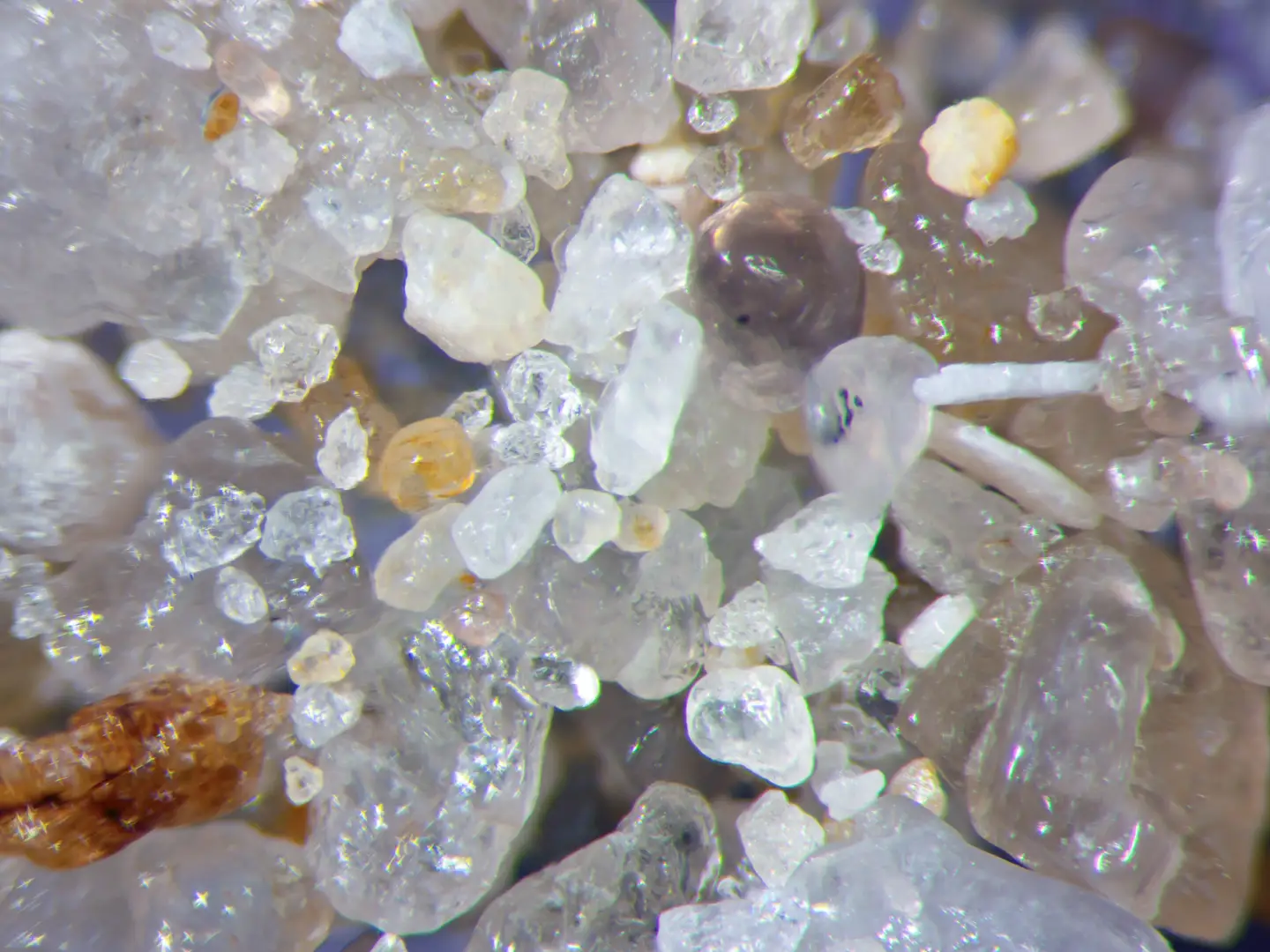 Microscopic view of mineral and sediment particles.