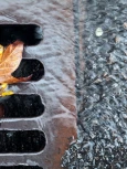 Storm drain on the streets of New York City.