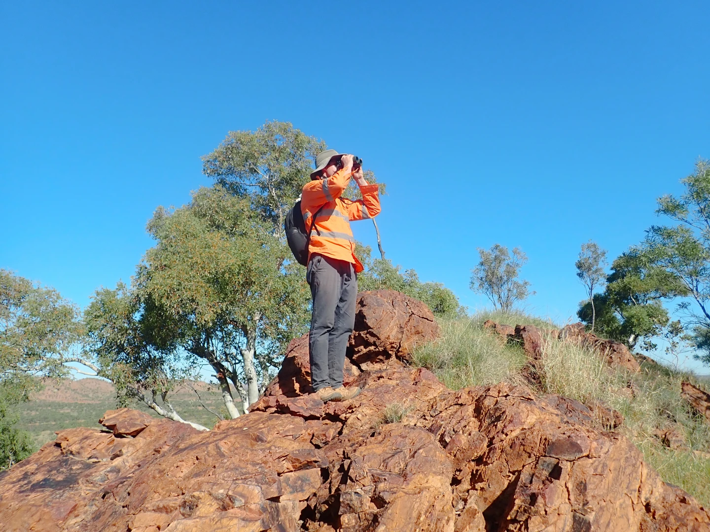 Field worker surveying rocky terrain with binoculars.