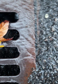 Storm drain on the streets of New York City.