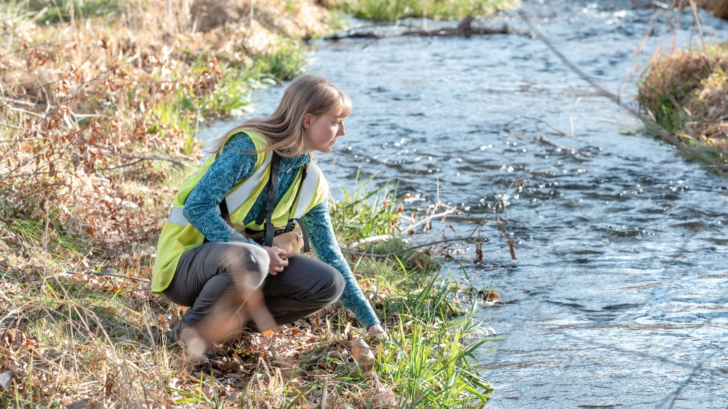 Environmental field scientist collecting a water sample from a stream.