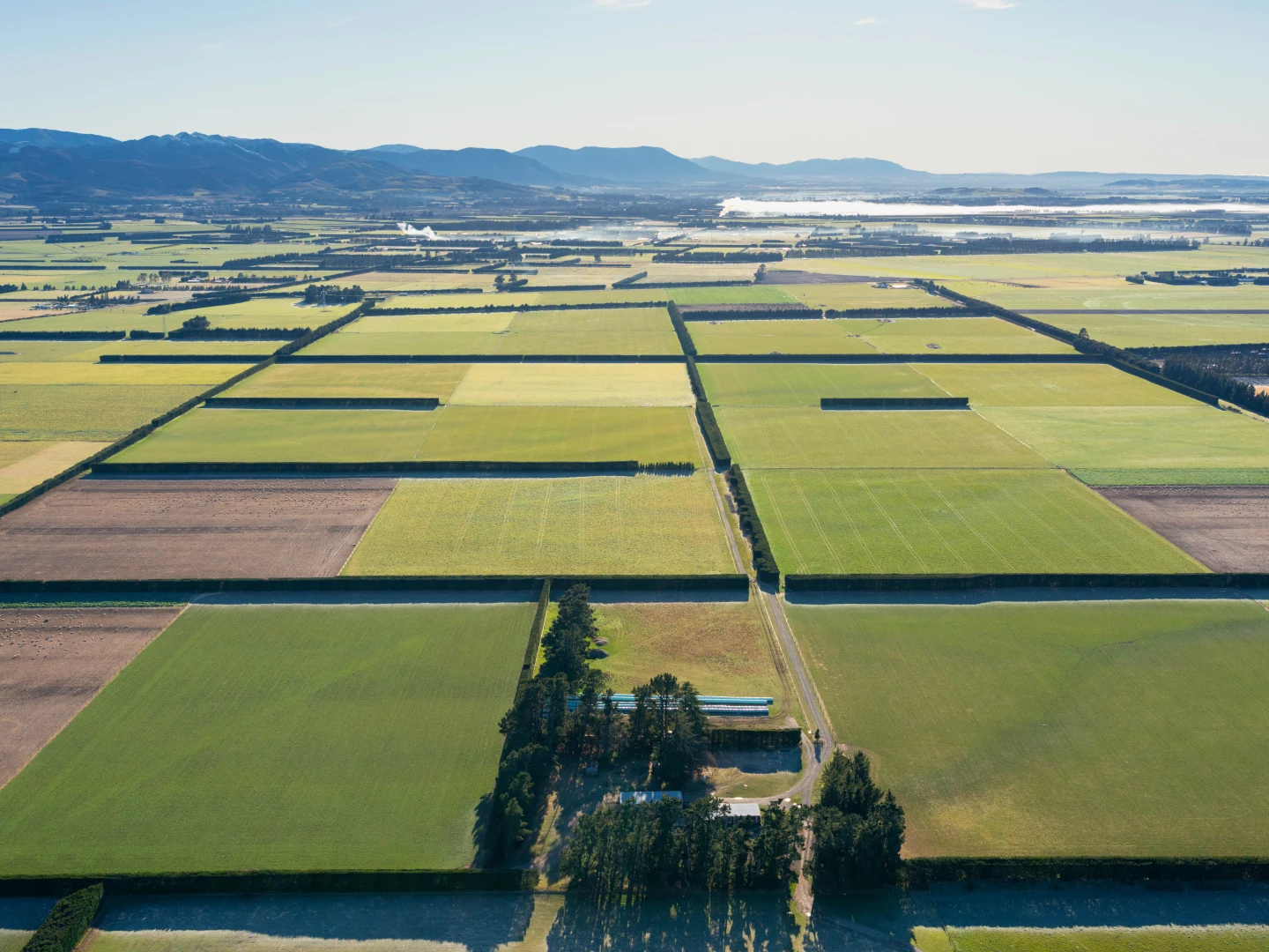 Aerial view of agricultural fields arranged in a grid pattern with roads and distant hills in a rural landscape.