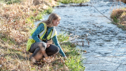 Environmental field scientist collecting a water sample from a stream.