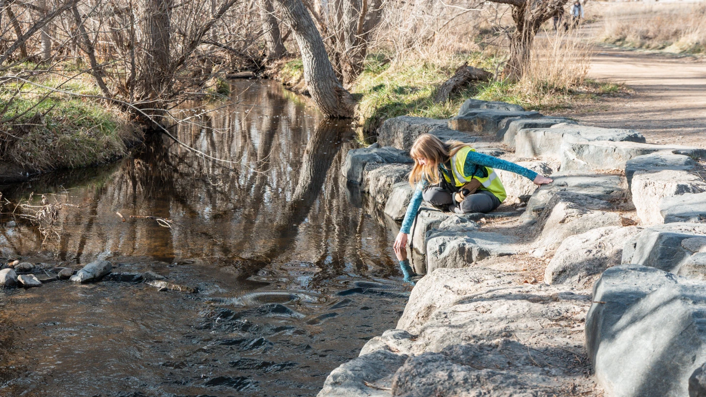 Environmental professional conducting field observations along a restored stream corridor and riparian habitat.