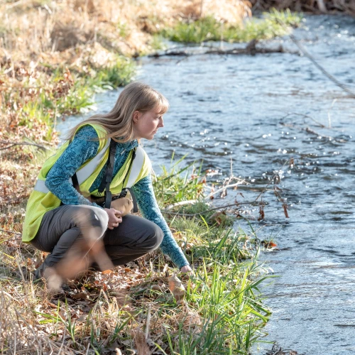 Environmental field scientist collecting a water sample from a stream.
