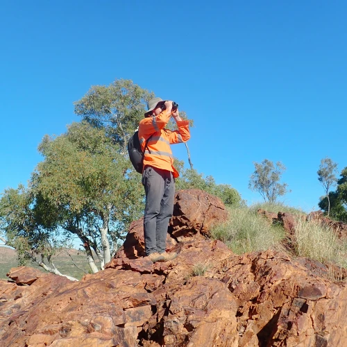 Field worker surveying rocky terrain with binoculars.